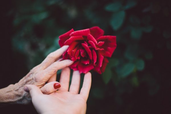 seed of hope