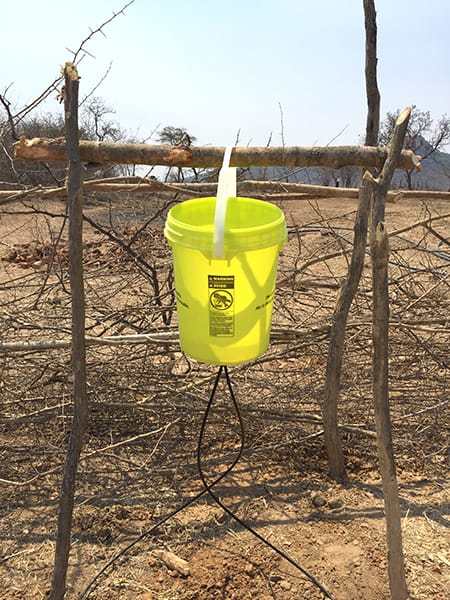 Sep-21-Day-4-bucket-drip-irrigation-2-edit