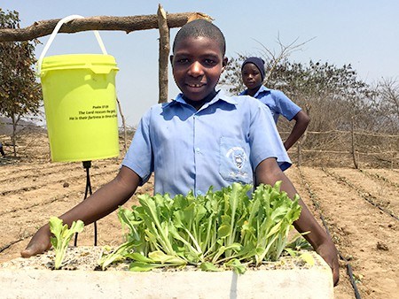 Sep-21-Day-4-garden-students-planting-seedlings-6-edit-crop