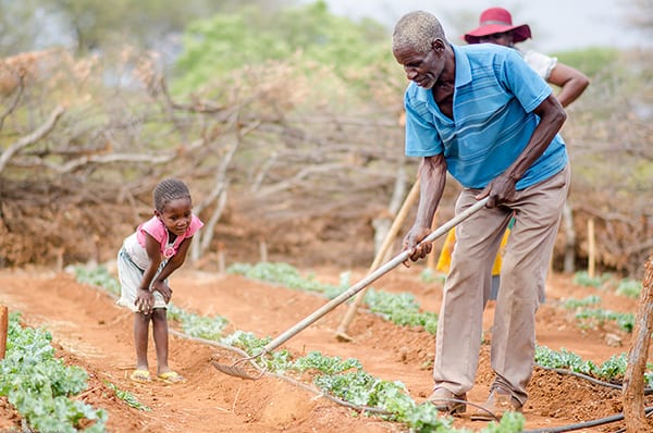 Our Humanitarian Quest: Food and Agriculture