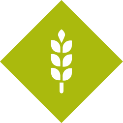 Food-Agriculture-2.png
