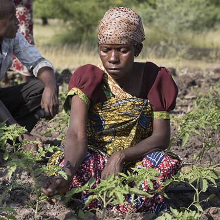Woman in Africa tends to her garden